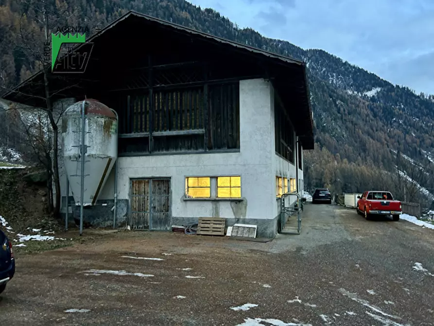 Immagine 22 di Capannone industriale in vendita  in SAN BERNARDO a Rabbi