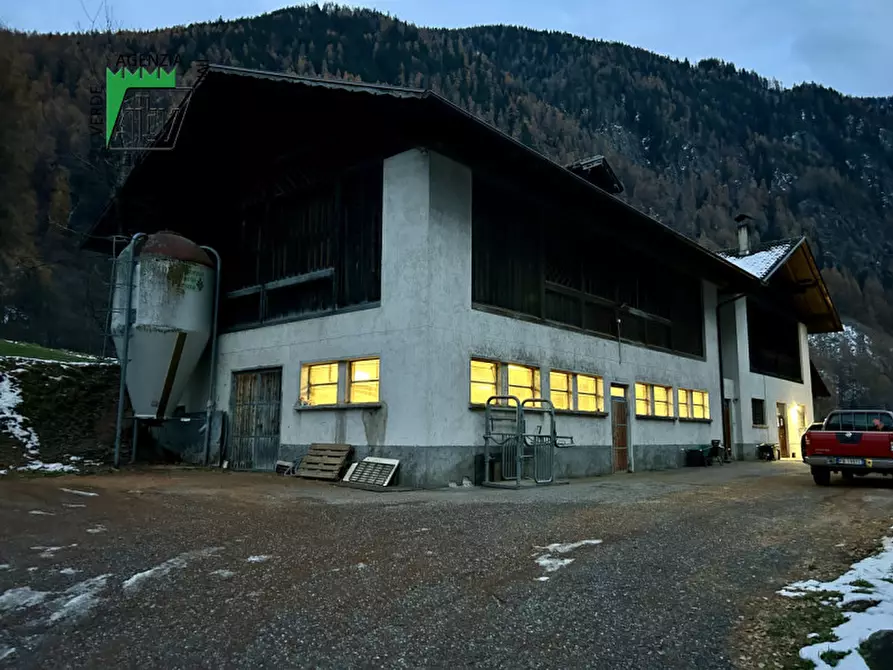 Immagine 23 di Capannone industriale in vendita  in SAN BERNARDO a Rabbi