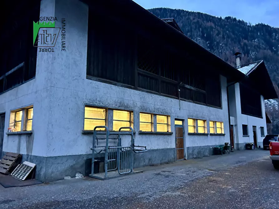 Immagine 24 di Capannone industriale in vendita  in SAN BERNARDO a Rabbi