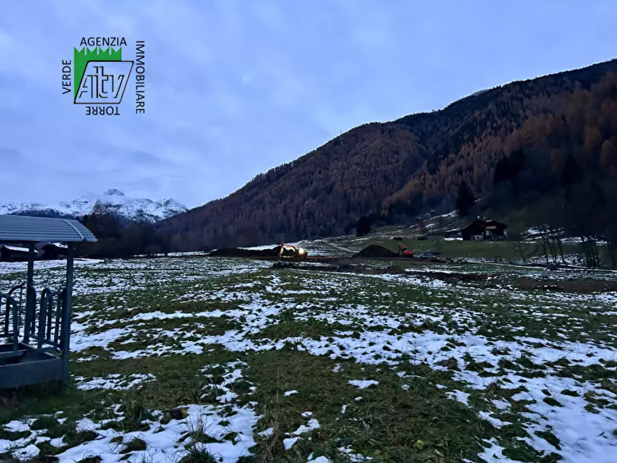 Immagine 29 di Capannone industriale in vendita  in SAN BERNARDO a Rabbi