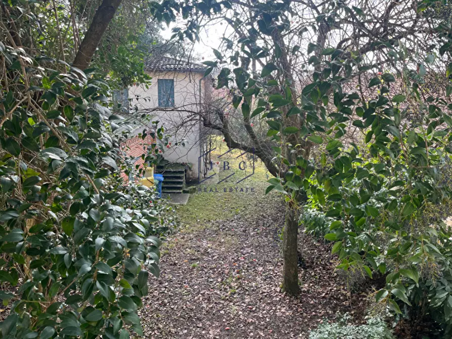 Immagine 27 di Casa bifamiliare in vendita  a Ponte Di Piave