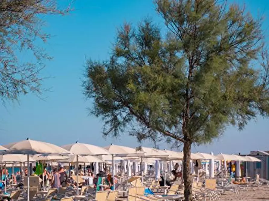 Immagine 4 di Laboratorio in vendita  a Comacchio