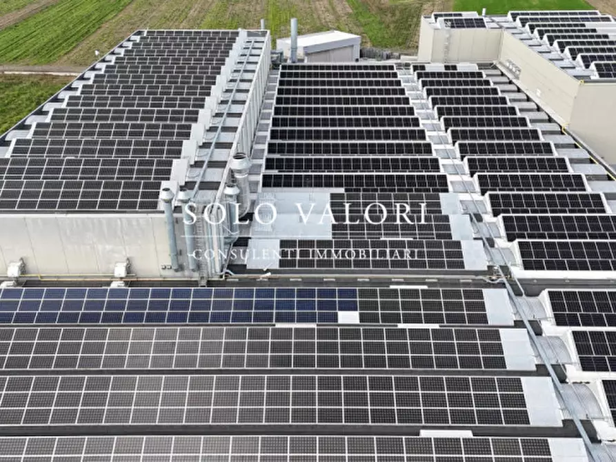 Immagine 3 di Capannone industriale in vendita  a Treviso