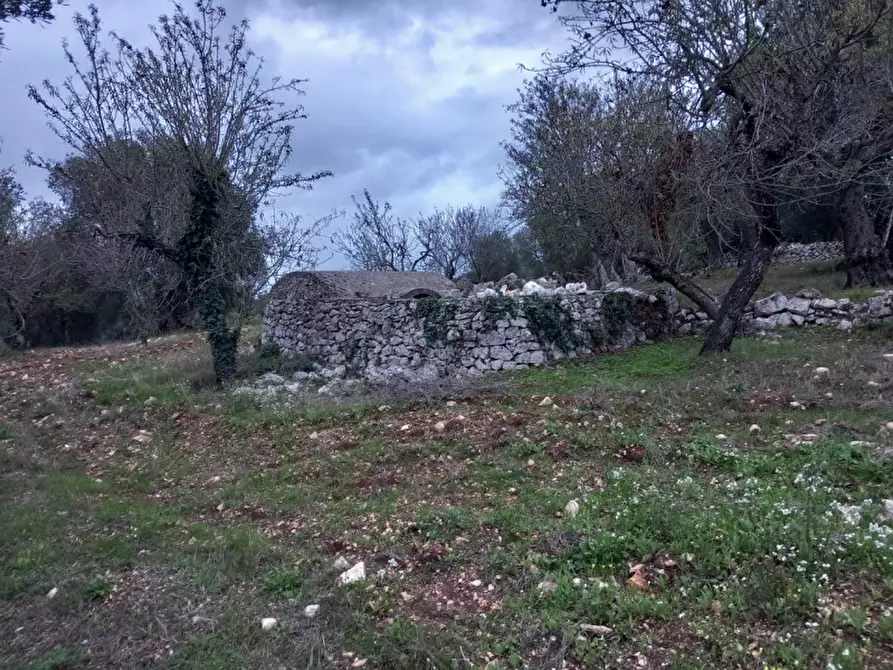 Immagine 2 di Rustico / casale in vendita  in C.da Lamia Nuova a Ceglie Messapico