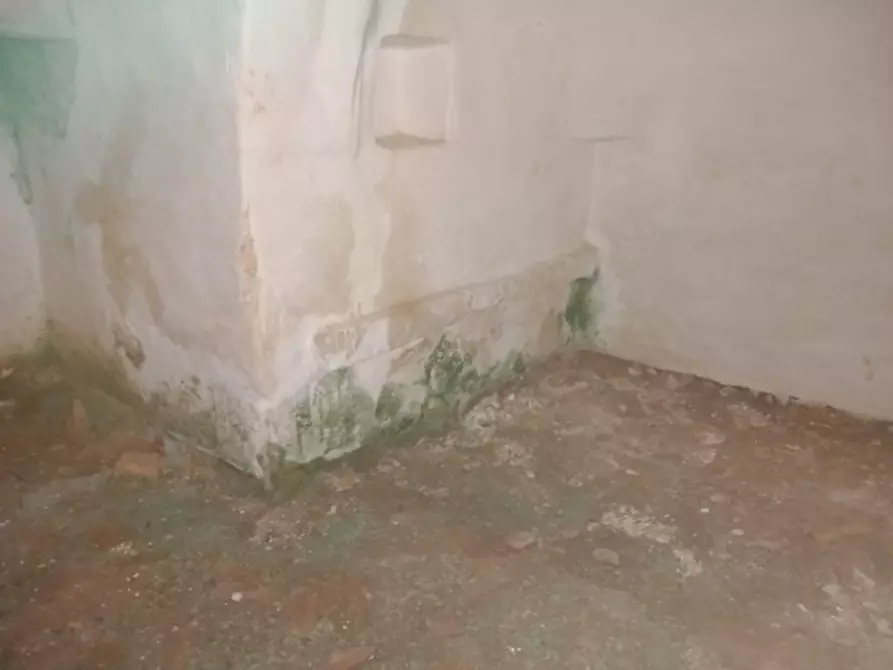 Immagine 6 di Rustico / casale in vendita  in C.da Lamia Nuova a Ceglie Messapico