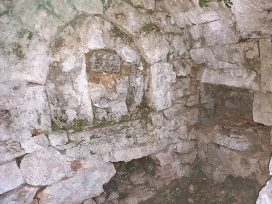 Immagine 9 di Rustico / casale in vendita  in C.da Lamia Nuova a Ceglie Messapico