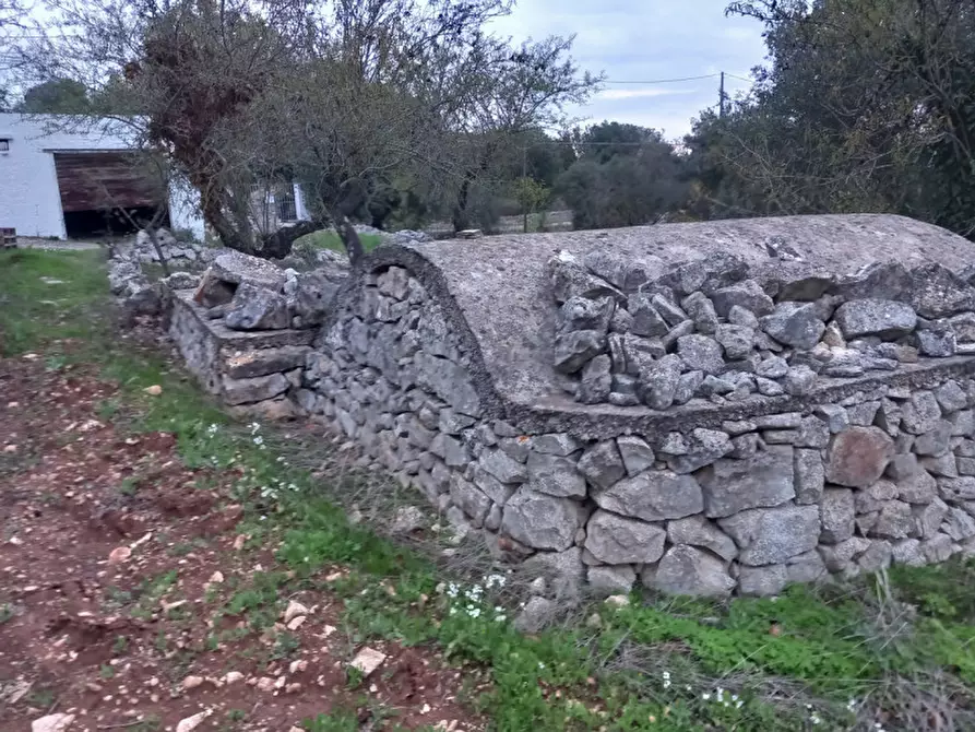 Immagine 13 di Rustico / casale in vendita  in C.da Lamia Nuova a Ceglie Messapico