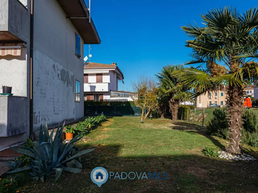 Immagine 21 di Appartamento in vendita  in Via Marconi a Agna