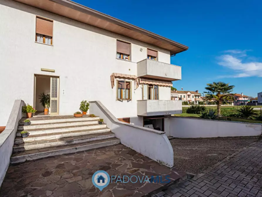 Immagine 22 di Appartamento in vendita  in Via Marconi a Agna