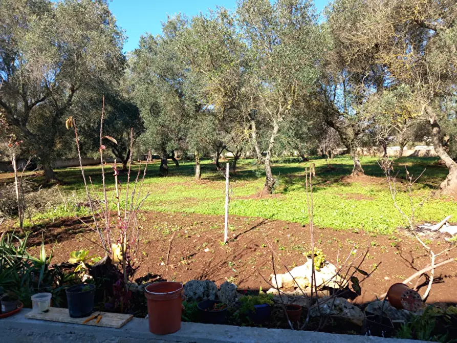 Immagine 23 di Villa in vendita  in C.da Falascusa a Ceglie Messapico