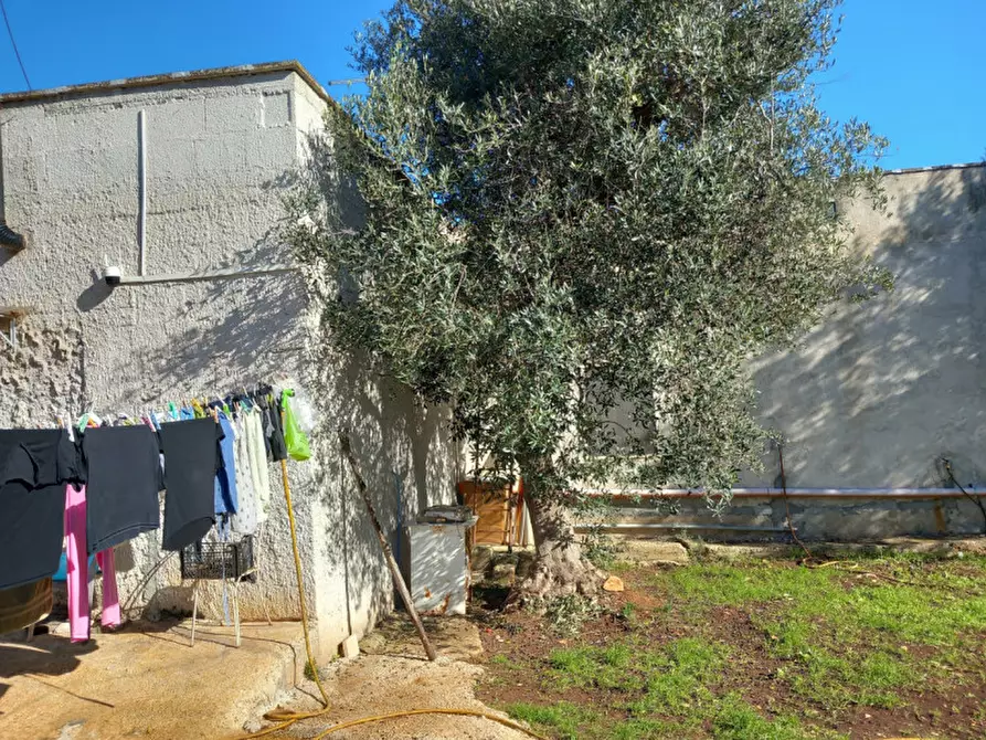 Immagine 25 di Villa in vendita  in C.da Falascusa a Ceglie Messapico