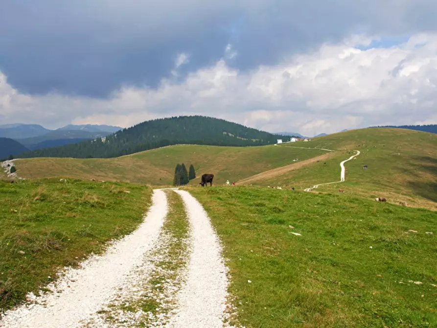 Immagine 13 di Appartamento in vendita  in Via Monsignor D.Bortoli 10 a Asiago