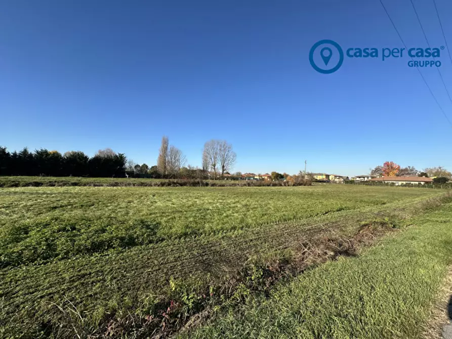 Immagine 5 di Terreno in vendita  in Via Sabbioni a Boara Pisani