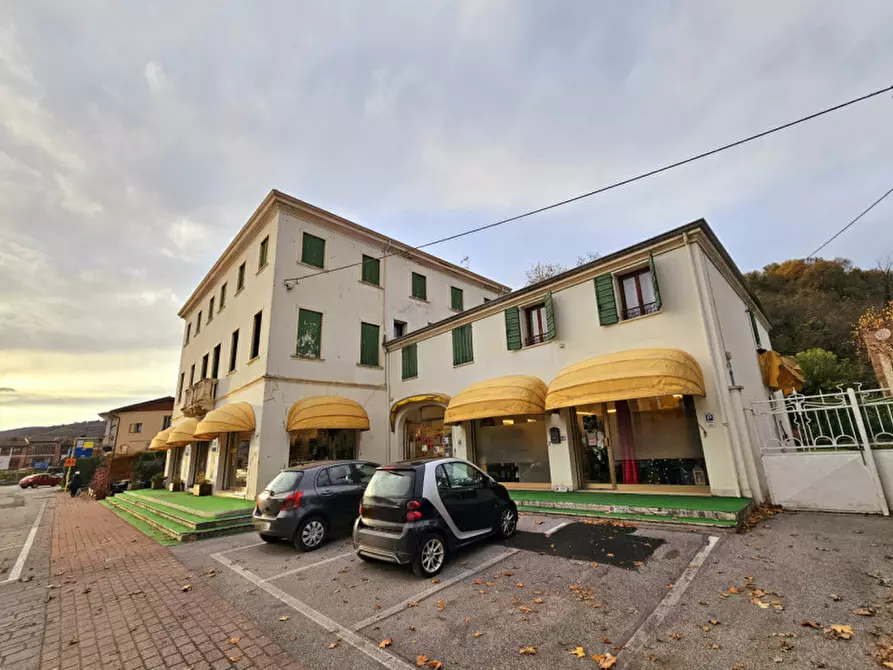Immagine 1 di Negozio in vendita  in VIA EUGANEO TREPONTI a Teolo