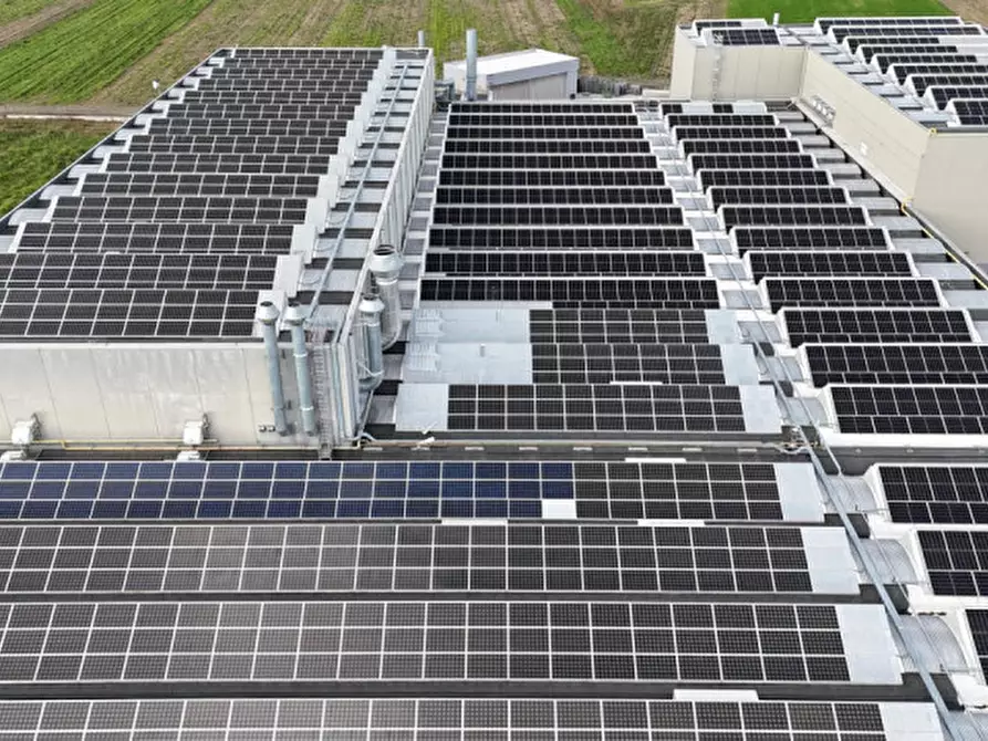 Immagine 4 di Capannone industriale in vendita  a Cittadella