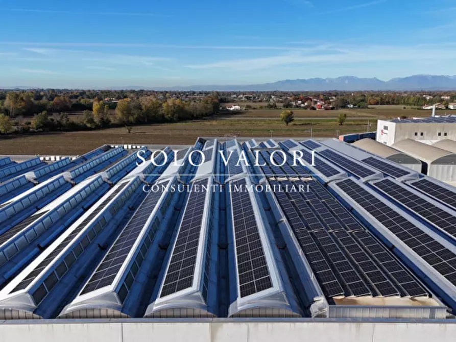 Immagine 2 di Capannone industriale in vendita  a Cittadella