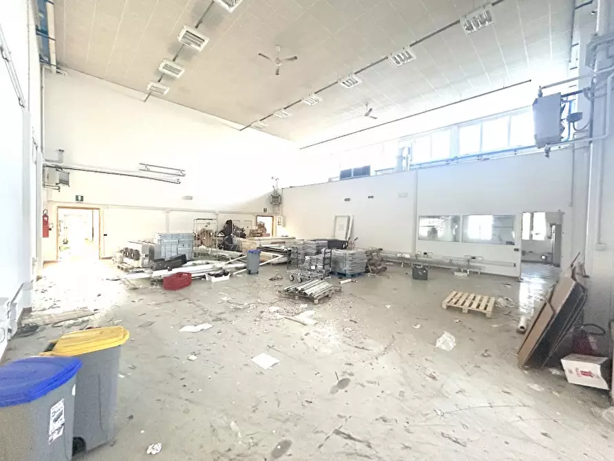 Immagine 3 di Capannone industriale in affitto  in via romagna a Cesena