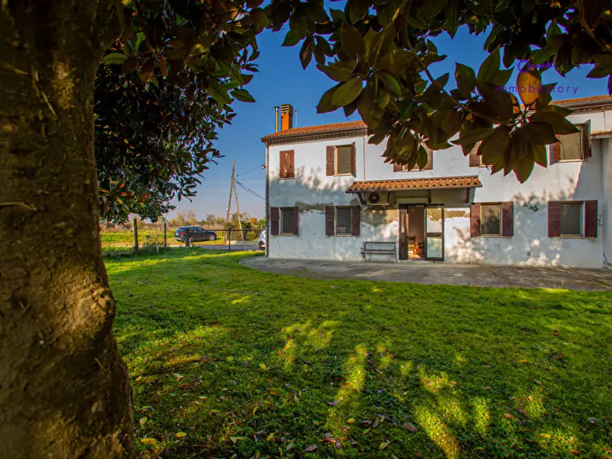 Immagine 1 di Rustico / casale in vendita  in via grazia deledda a Tribano