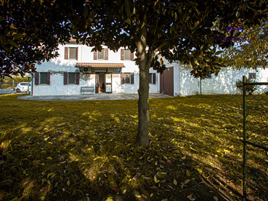 Immagine 12 di Rustico / casale in vendita  in via grazia deledda a Tribano