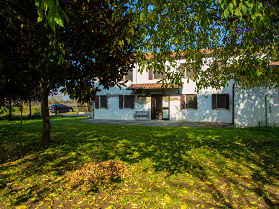 Immagine 13 di Rustico / casale in vendita  in via grazia deledda a Tribano