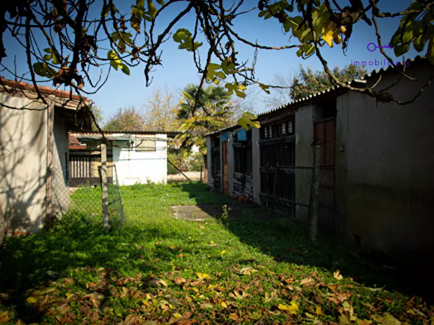 Immagine 15 di Rustico / casale in vendita  in via grazia deledda a Tribano