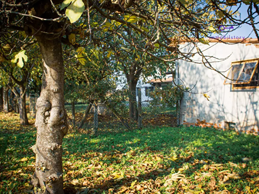 Immagine 16 di Rustico / casale in vendita  in via grazia deledda a Tribano