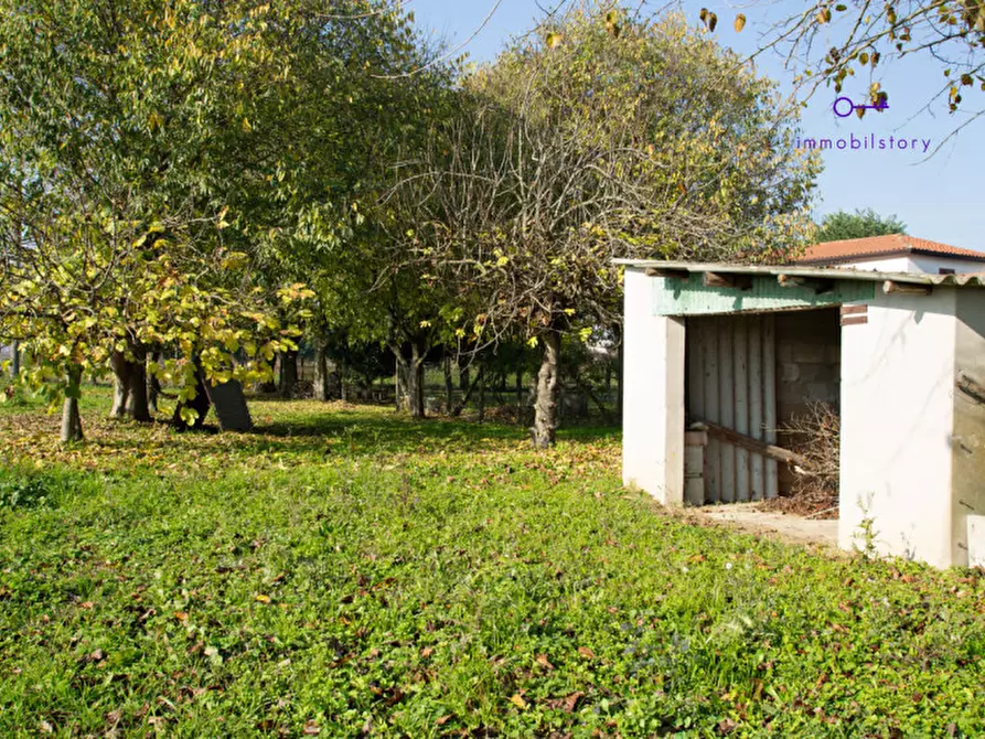 Immagine 17 di Rustico / casale in vendita  in via grazia deledda a Tribano