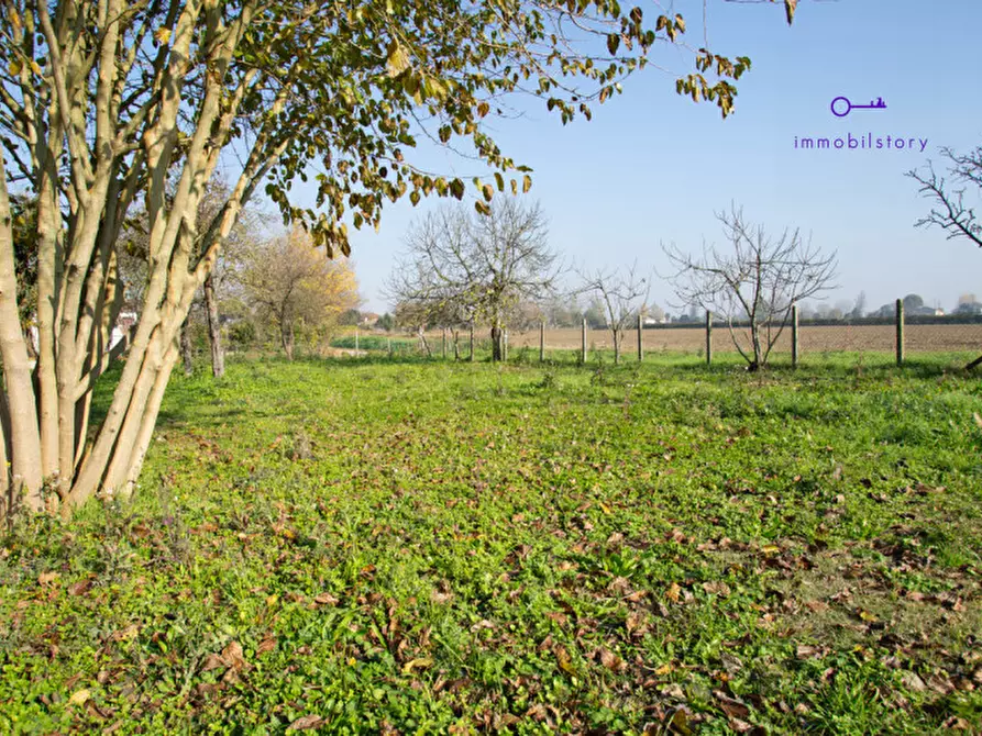 Immagine 18 di Rustico / casale in vendita  in via grazia deledda a Tribano