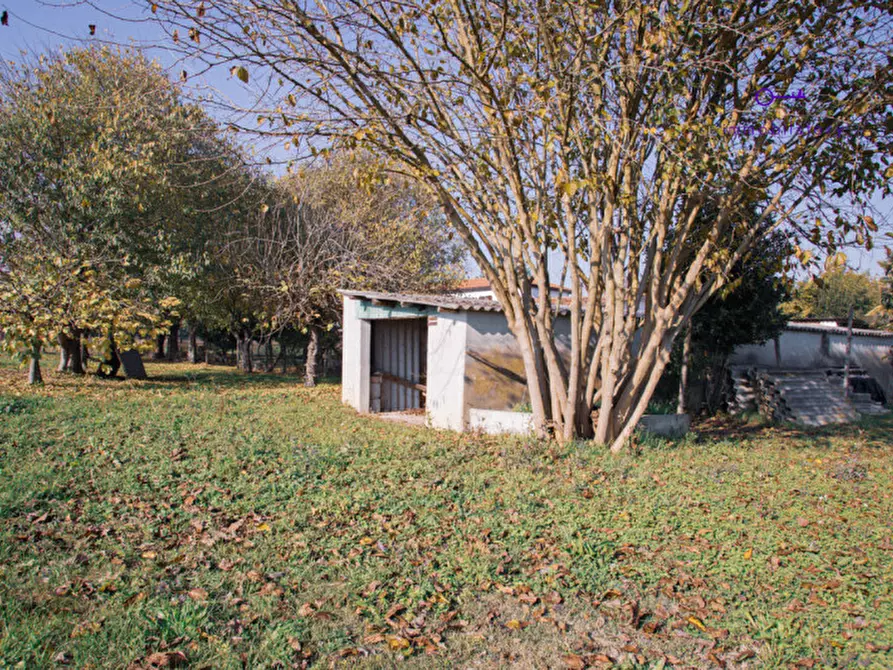 Immagine 19 di Rustico / casale in vendita  in via grazia deledda a Tribano