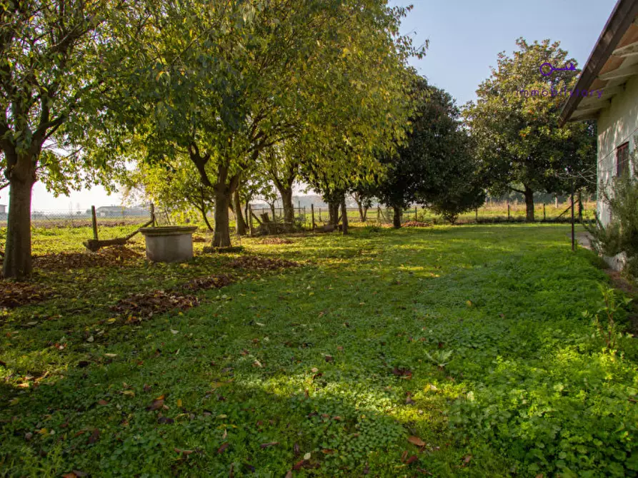 Immagine 21 di Rustico / casale in vendita  in via grazia deledda a Tribano