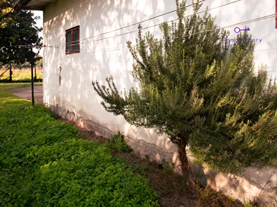 Immagine 22 di Rustico / casale in vendita  in via grazia deledda a Tribano