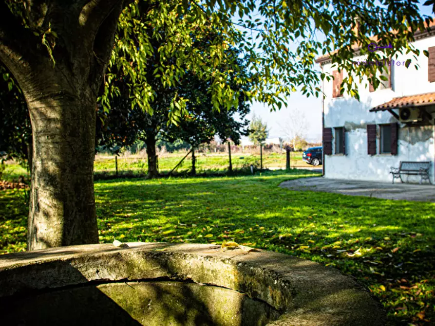 Immagine 23 di Rustico / casale in vendita  in via grazia deledda a Tribano