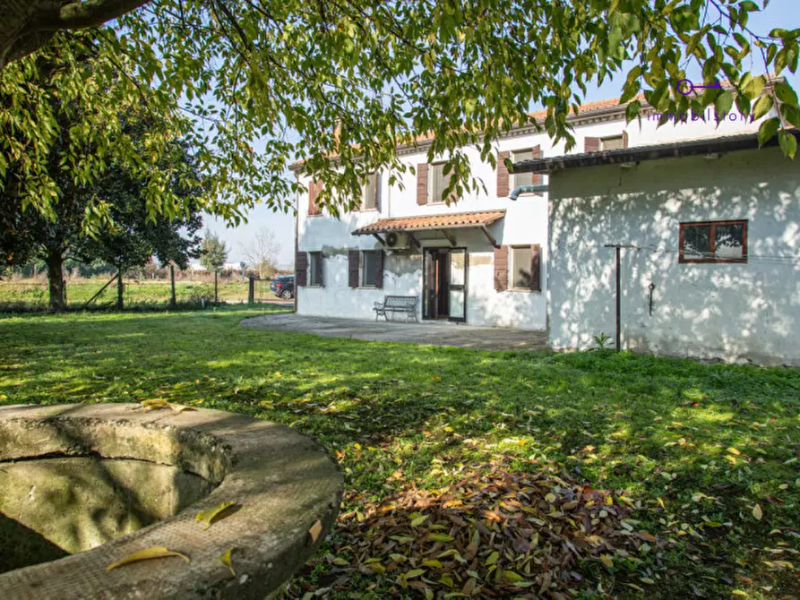 Immagine 24 di Rustico / casale in vendita  in via grazia deledda a Tribano