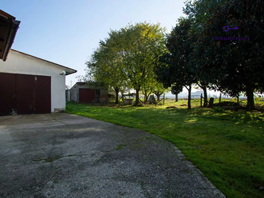 Immagine 26 di Rustico / casale in vendita  in via grazia deledda a Tribano