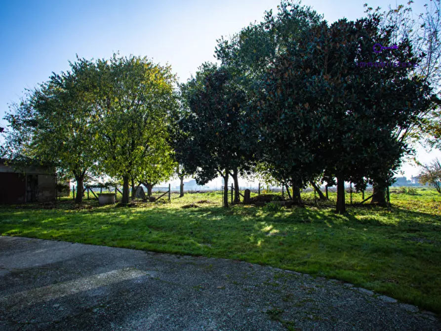 Immagine 27 di Rustico / casale in vendita  in via grazia deledda a Tribano