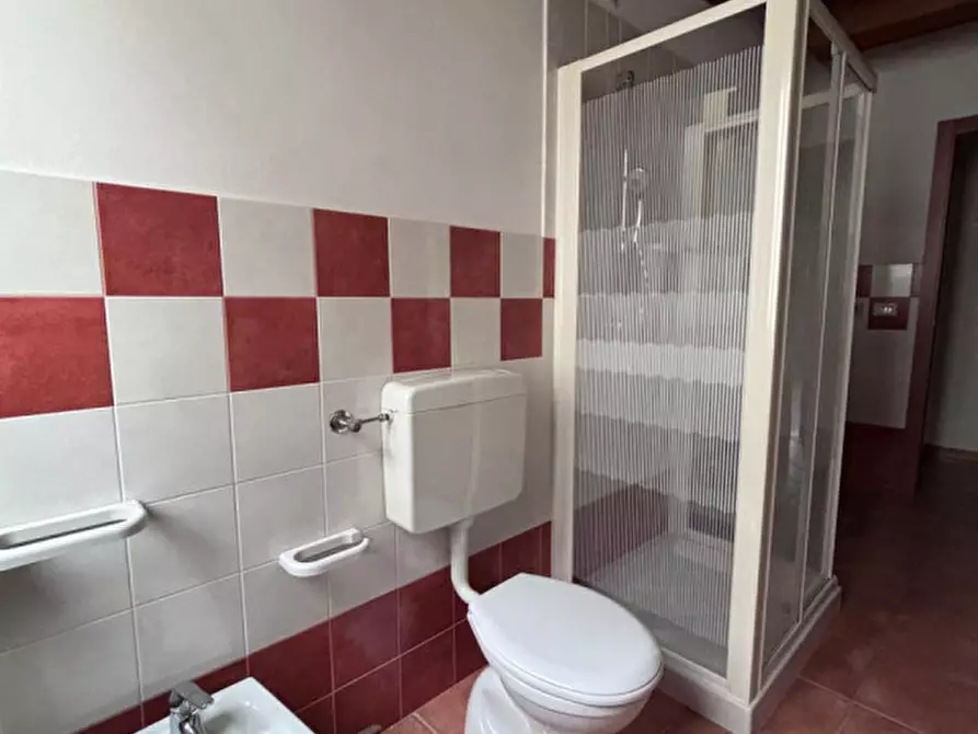 Immagine 8 di Appartamento in affitto  a Badia Polesine