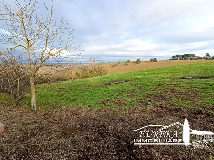 Immagine 4 di Terreno in vendita  in Vaiano a Castiglione Del Lago