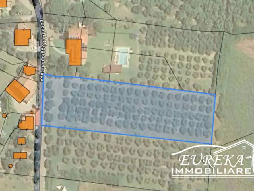 Immagine 11 di Terreno in vendita  in Vaiano a Castiglione Del Lago