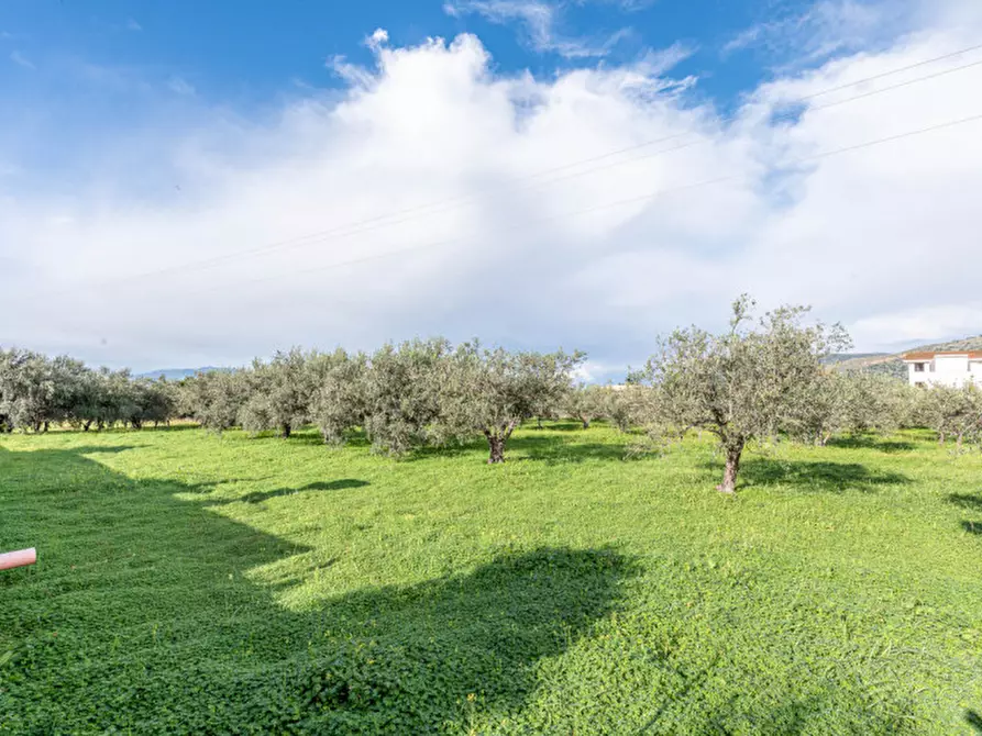 Immagine 40 di Villa in vendita  in Contrada Mazzarca a Borgetto