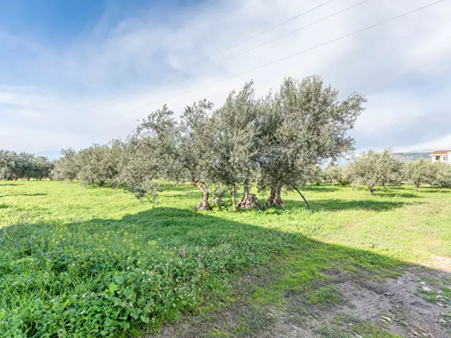 Immagine 43 di Villa in vendita  in Contrada Mazzarca a Borgetto