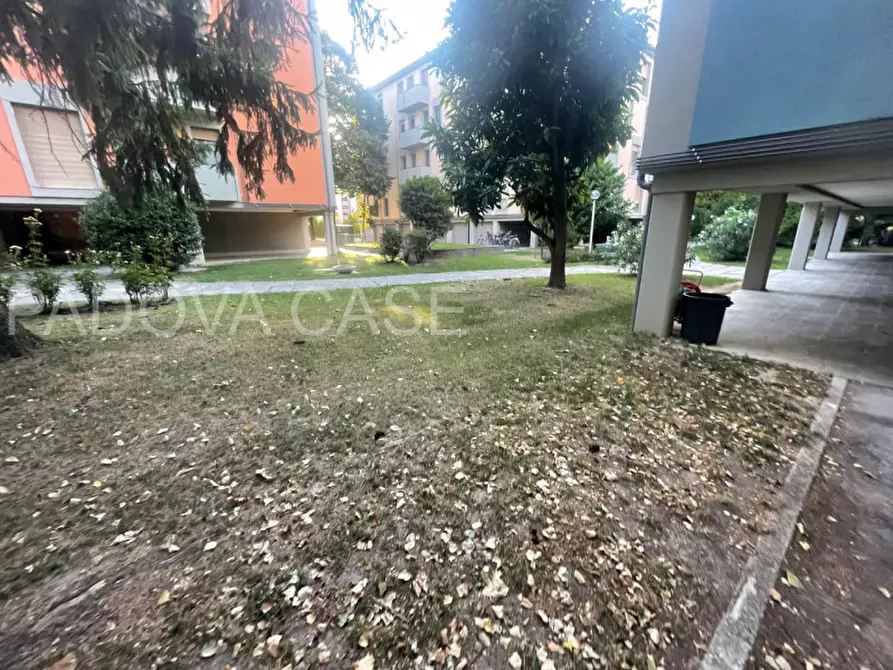 Immagine 2 di Appartamento in vendita  in Via Novara a Padova