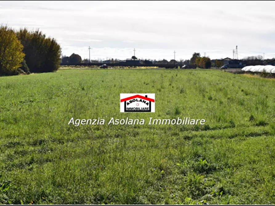Immagine 7 di Terreno in vendita  in via Schiavonesca a Altivole