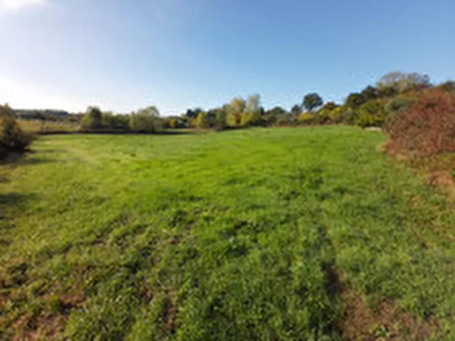 Immagine 1 di Terreno in vendita  in Via Lago Lucone a Polpenazze Del Garda