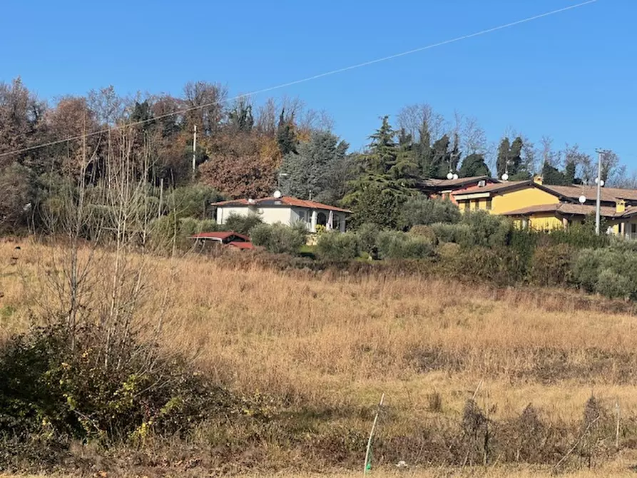Immagine 2 di Terreno in vendita  in Via Lago Lucone a Polpenazze Del Garda