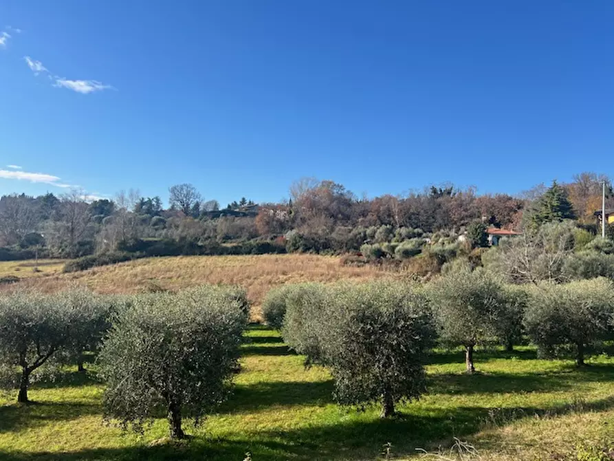 Immagine 7 di Terreno in vendita  in Via Lago Lucone a Polpenazze Del Garda