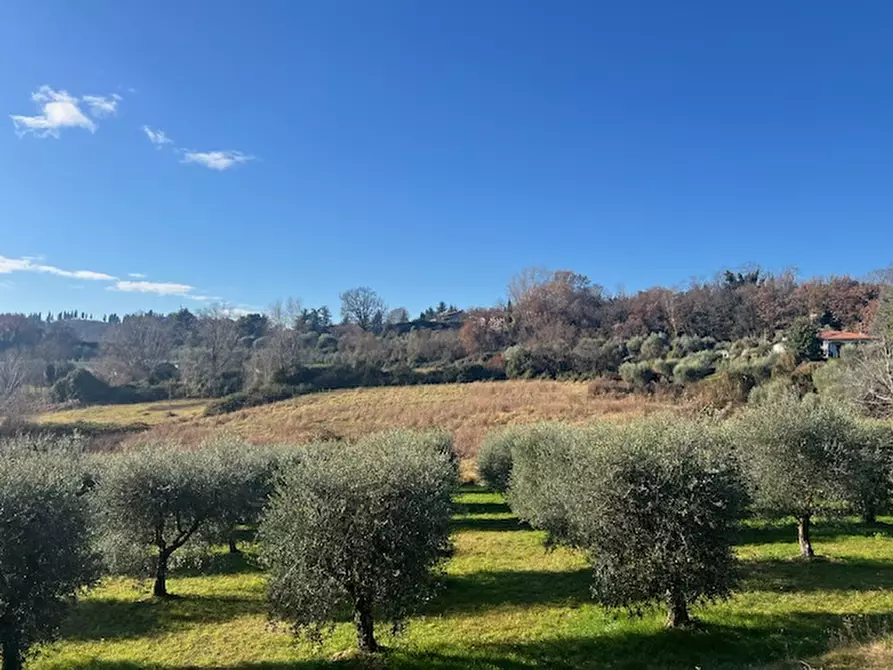 Immagine 8 di Terreno in vendita  in Via Lago Lucone a Polpenazze Del Garda