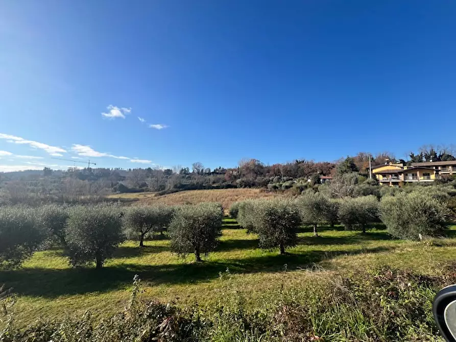 Immagine 9 di Terreno in vendita  in Via Lago Lucone a Polpenazze Del Garda