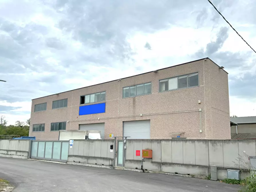 Immagine 1 di Attività commerciale in vendita  in VIA DELLE CONTRADE a Cepagatti