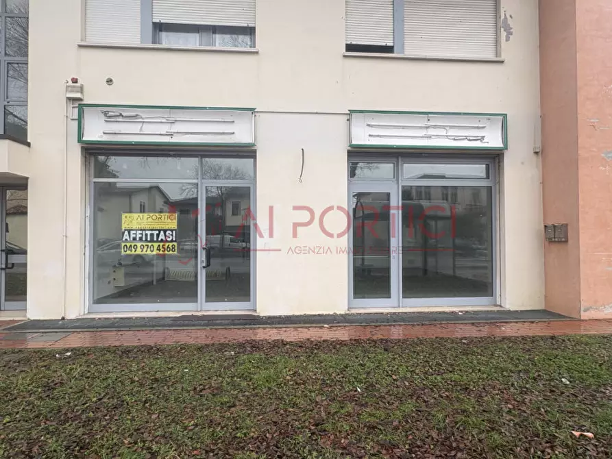 Immagine 22 di Negozio in affitto  in Via Padana a Sant'angelo Di Piove Di Sacco