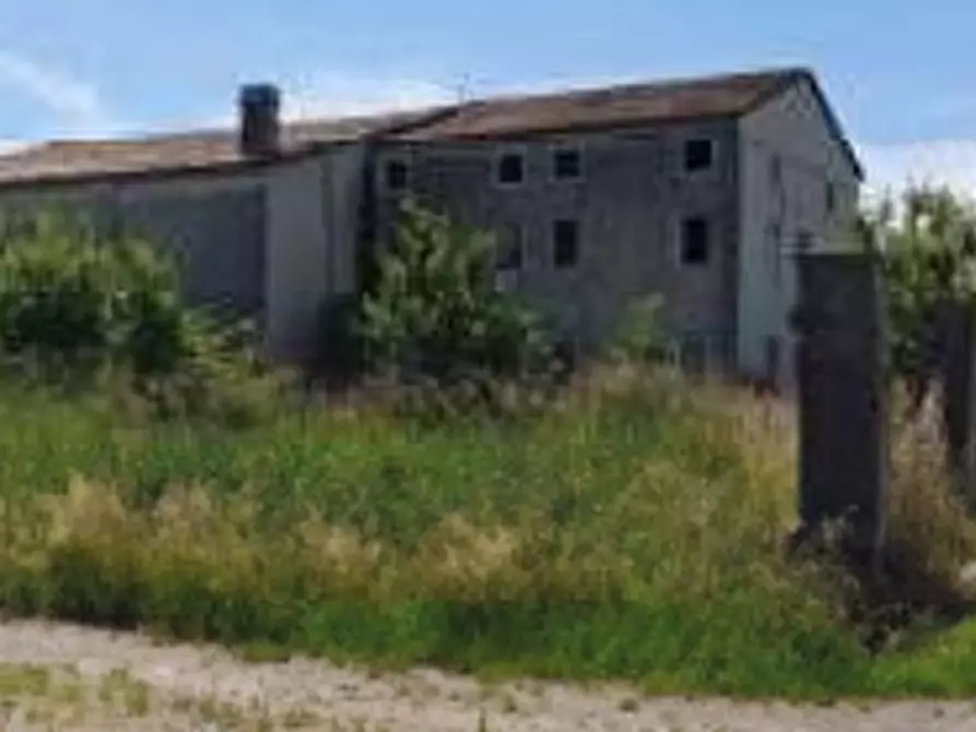 Immagine 3 di Casa indipendente in vendita  in VIA PALAZZETTO 11 a Albaredo D'adige